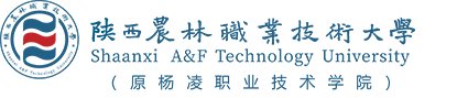校长仲伟周
