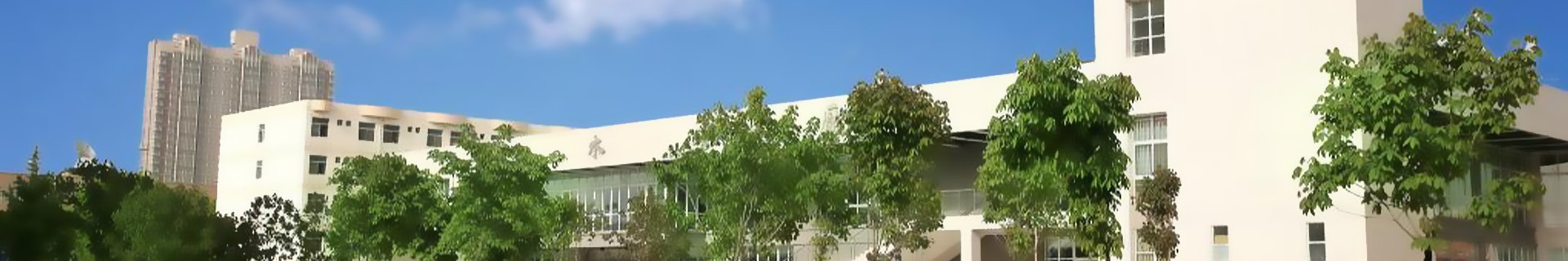 麦田守望守初心 种子育人育芳华